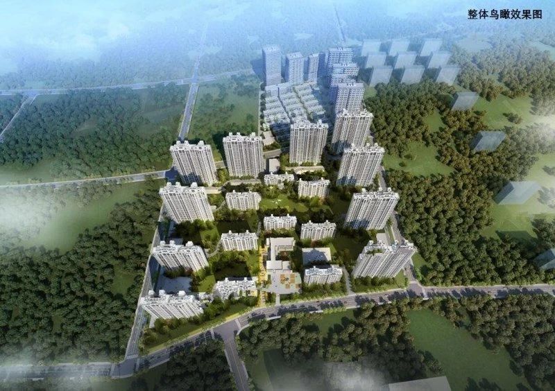 微信图片_20250507114721.jpg