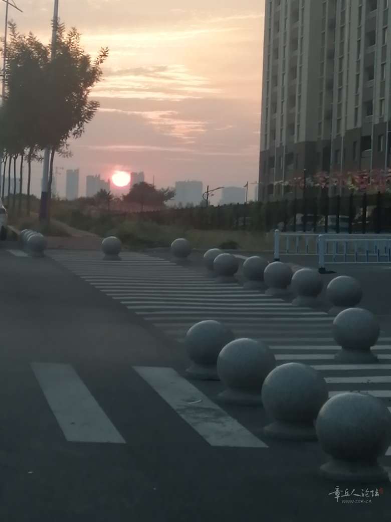 20250510101217front2_0_250092_FpPTf8yW0lPtN6tB8FLoq-XDw-a_.jpg