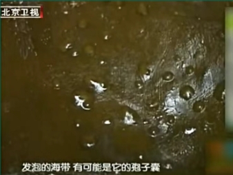 微信截图_20250516102101.png