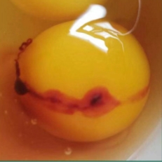 微信截图_20250516102936.png