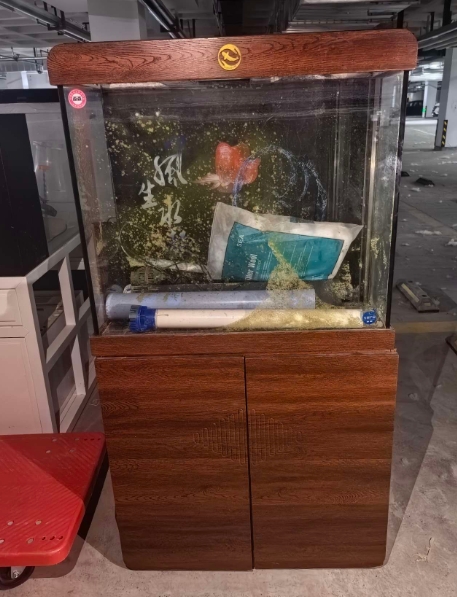 微信截图_20250520160132.png