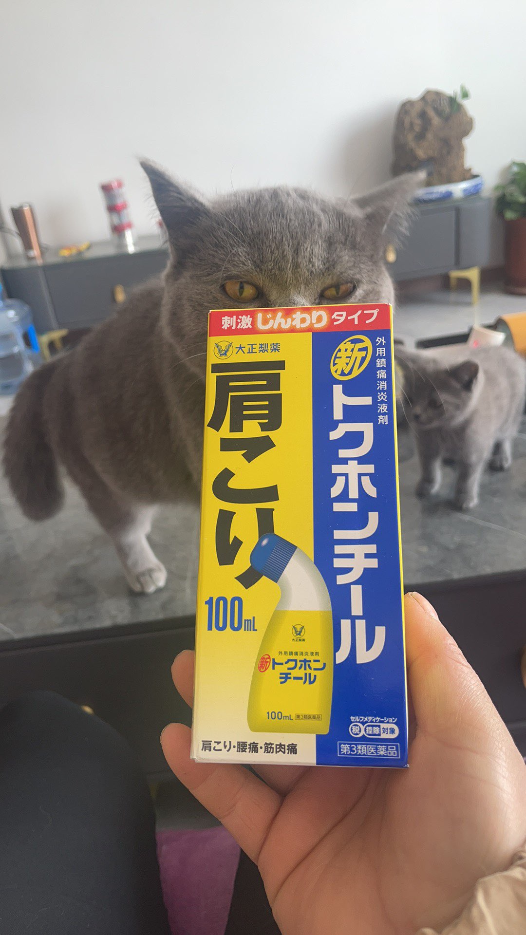 20250525220734front1_0_183433_FnWqK7jAkWI_7TcL-fGqYHvUyVhj.jpg