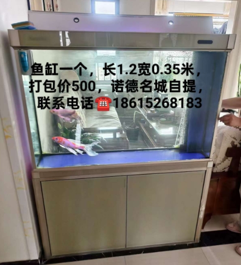 微信截图_20250526114217.png