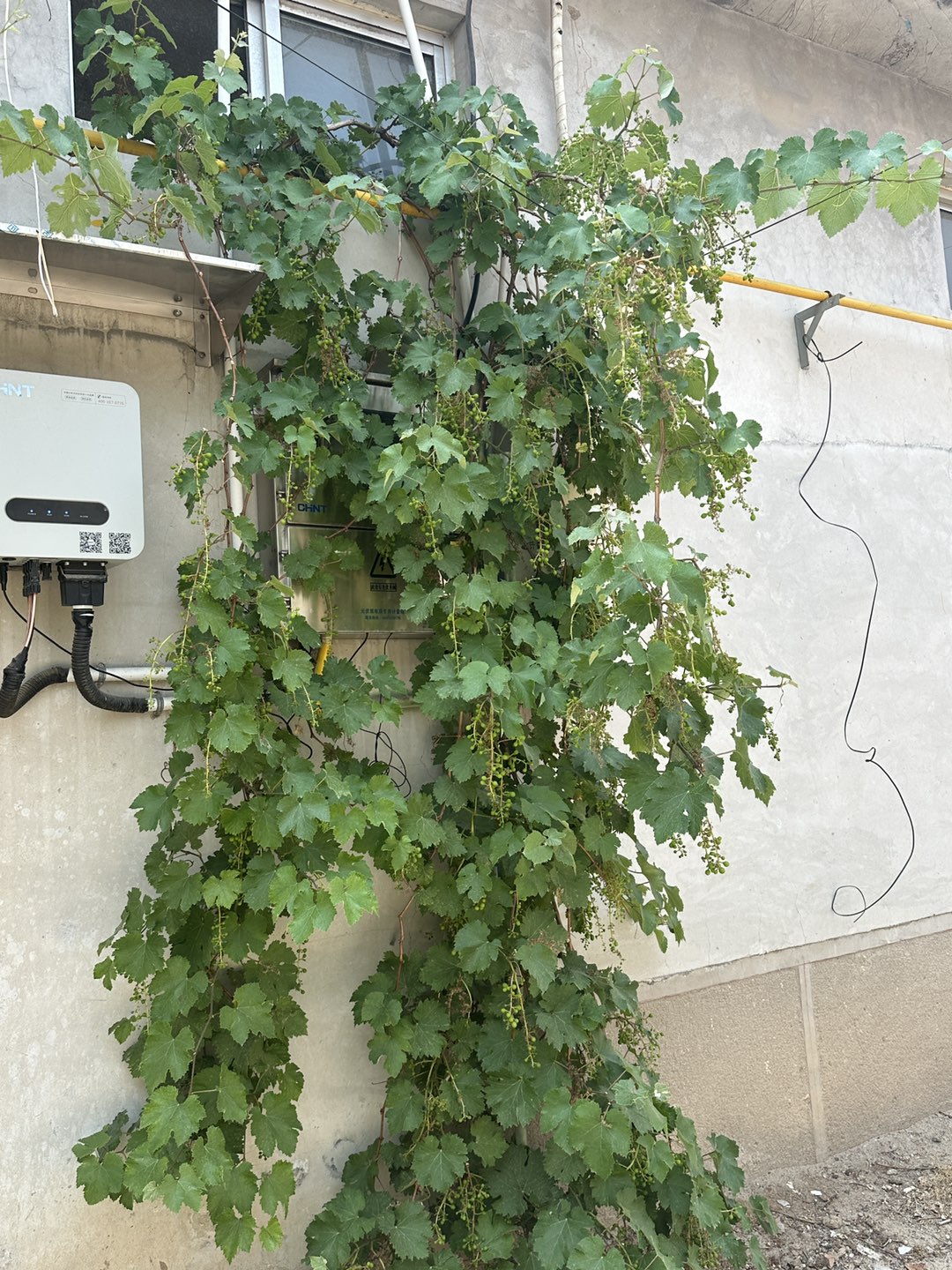 20250526152529front1_0_257154_FvzH4JHTccTnAKZAlzdgy61Tl-8V.jpg