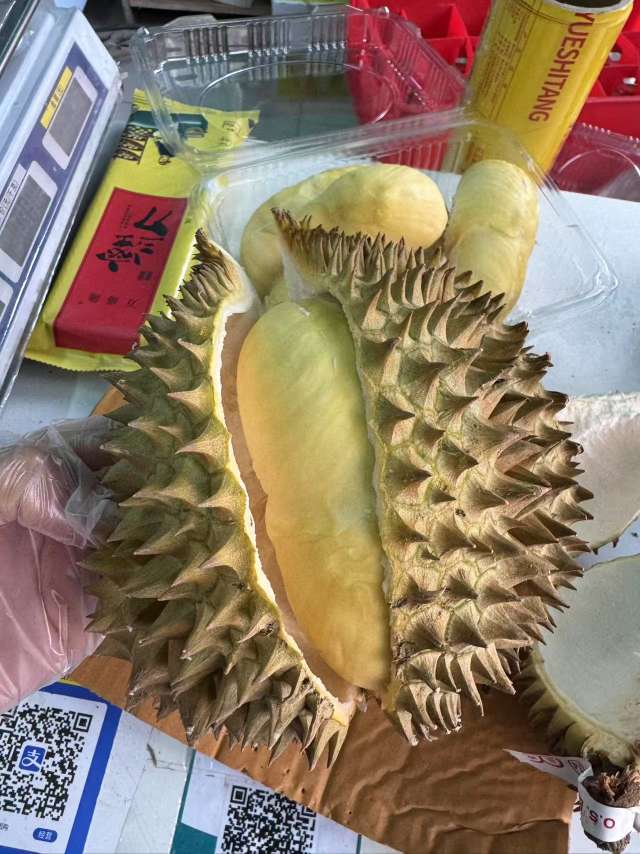 20250526182323front2_0_85744_Fupb5cNm4opUALn-hm0Vr32KKUy9.jpg