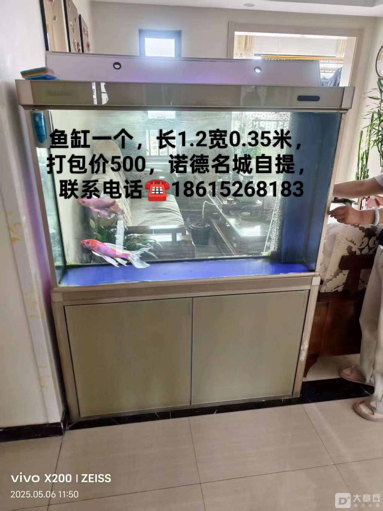 112816ho55qp5ih5ofzz3c.jpeg