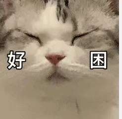 20250604145757front2_0_192_Fo3IR6MXLhxSIV2vjbvFPrPRRCqP.jpg