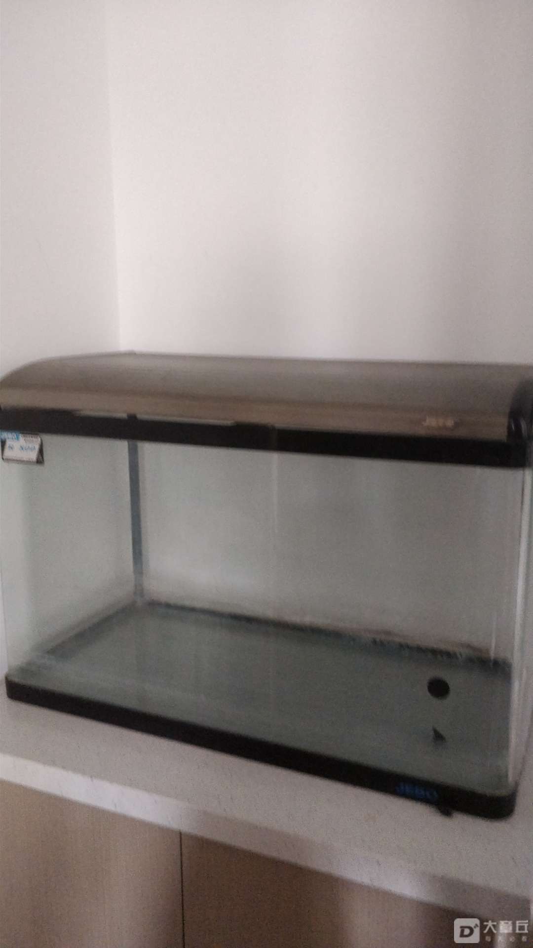 135103zvod2zvgcffi7gyd.jpeg