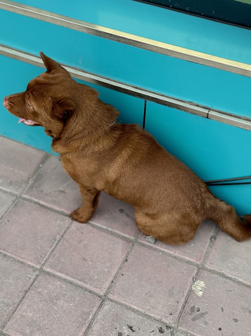 微信截图_20250610175327.png