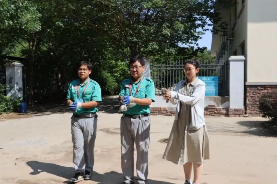 微信截图_20250613101241.png