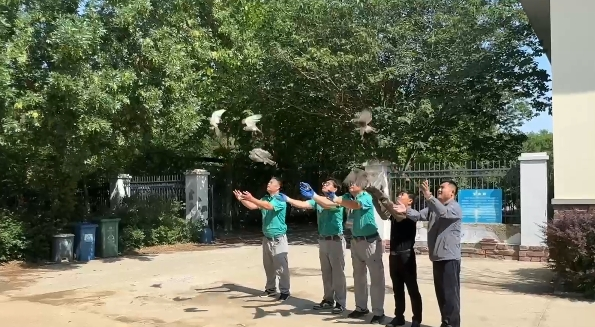 微信图片_20250613101659.png