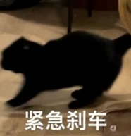 微信截图_20250616172701.png