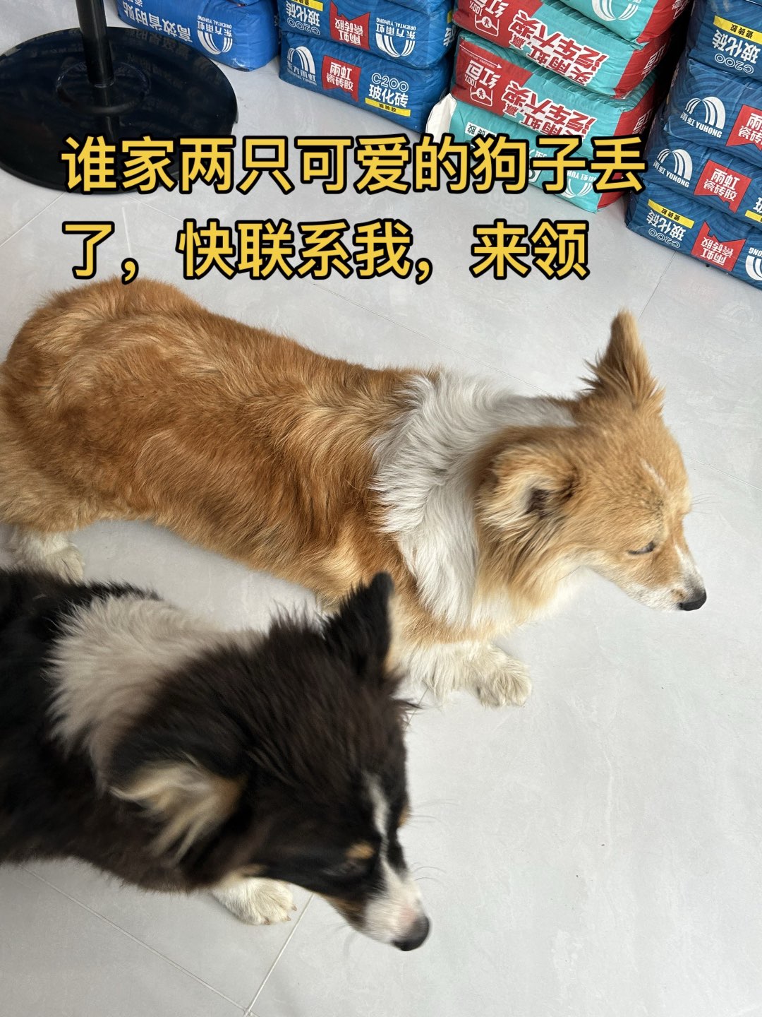 20250620131245front1_0_275403_Fh5m67iMR72t5QWeazXIU-2YvcRM.jpg