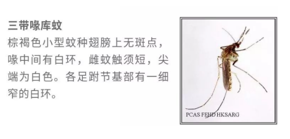 113533nbusui61g1cdoiiv.png