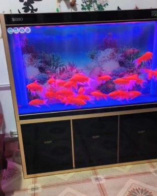 微信截图_20250627125318.png