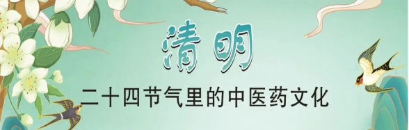 235752rkk6z046ga7yzyox.png