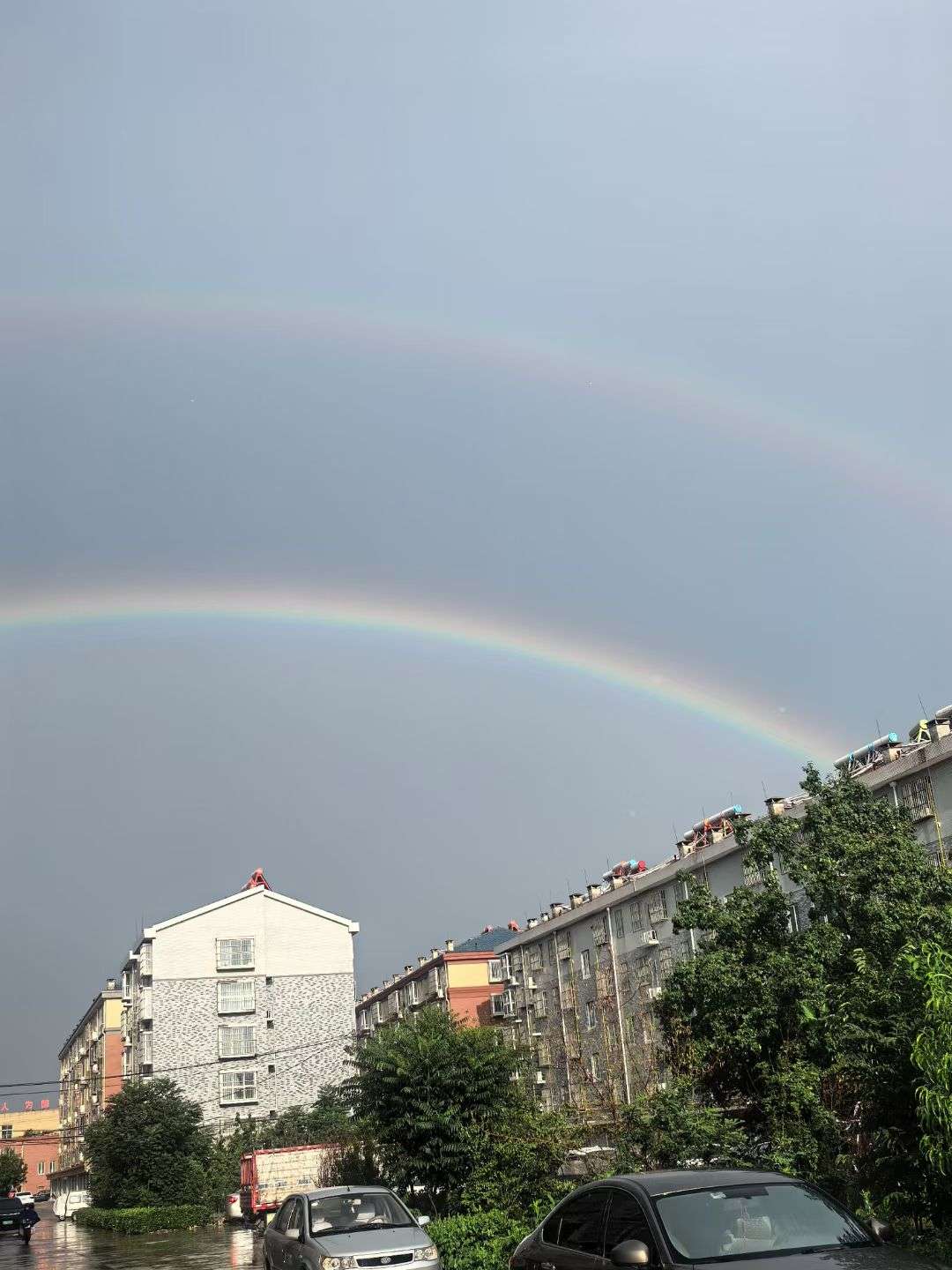 20250628180316front2_0_160409_FmjUtOa7VCINeNIQ2YNJEMxL01AK.jpg
