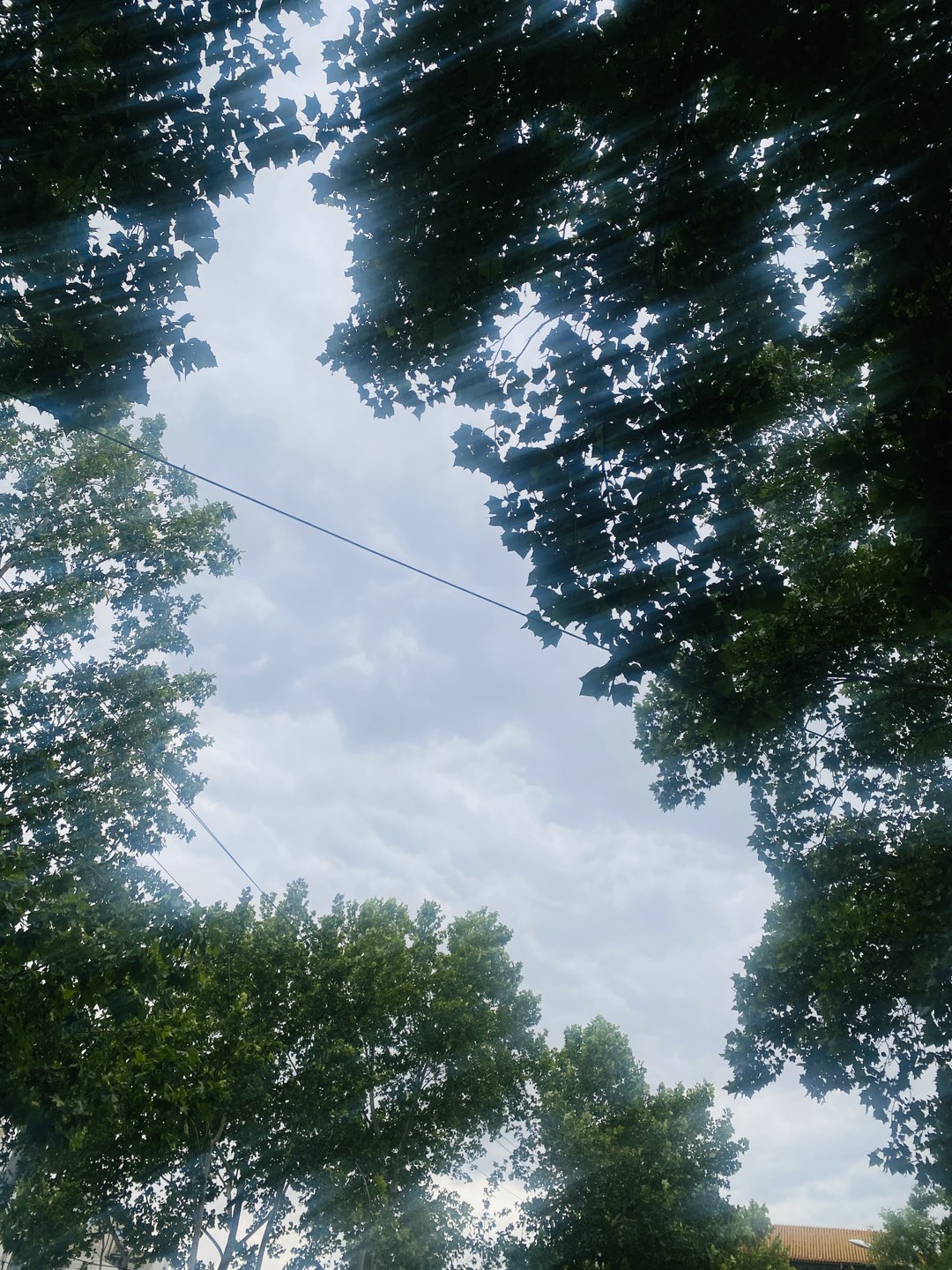 20250630213936front1_0_21588_Fowev1ZYKMNVOv70s7SE6XleryJR.jpg