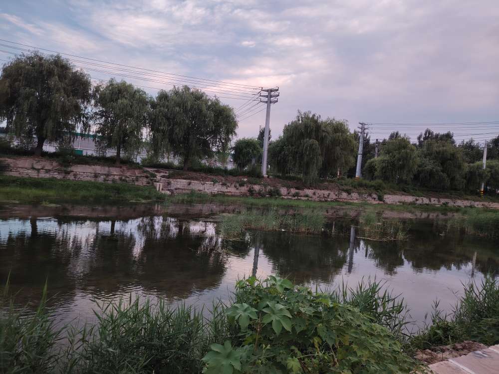 20250704113909front2_0_160409_Fqe7Bpj2cy-WVbGkK5RxRH986AZP.jpg