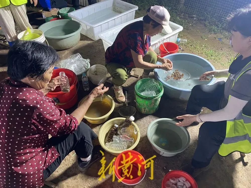 微信图片_20250705084402.jpg