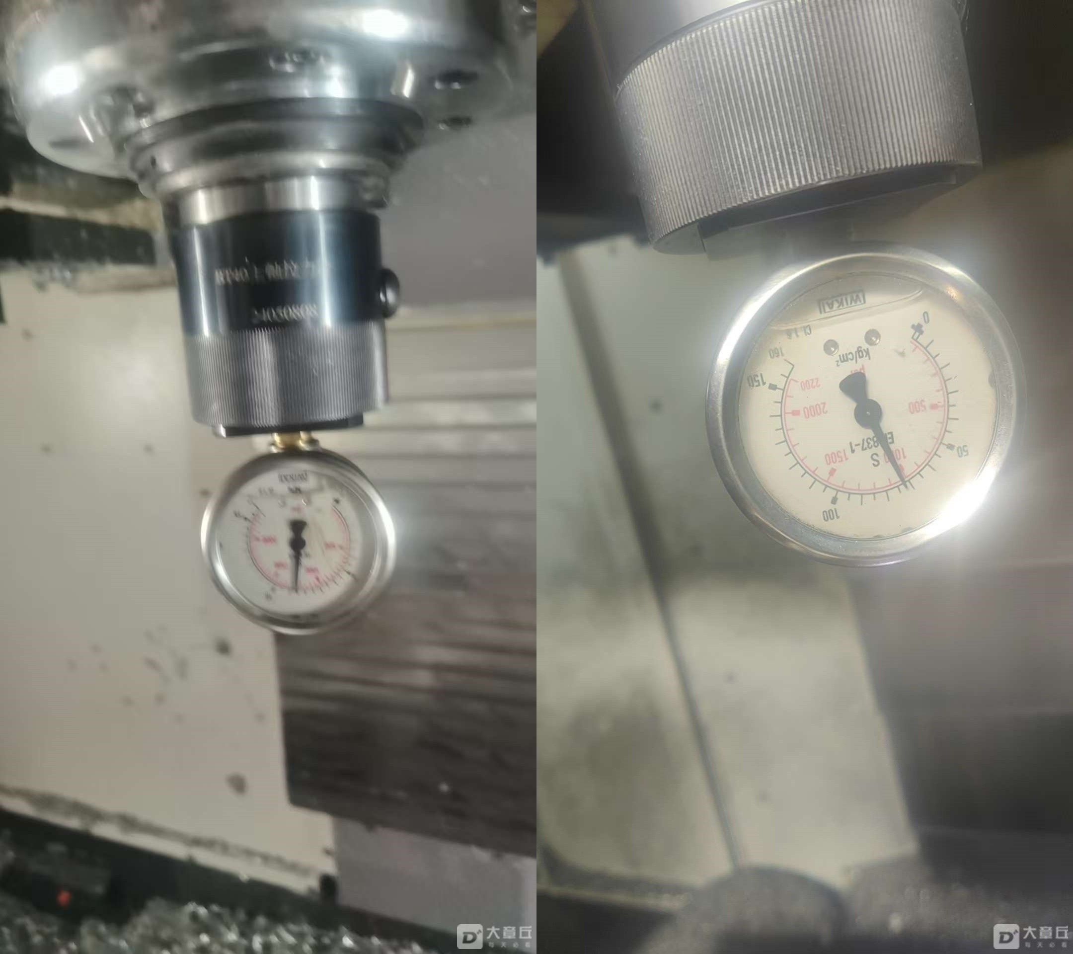 132018dpopra3oahorr25g.jpeg