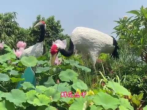 20250708162134front2_0_250092_FlgHDc-qh1azMNwuapFwe9s-T_-S.jpg
