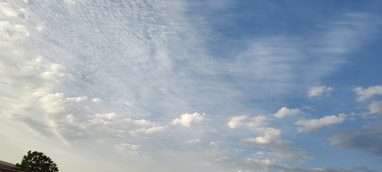 20250714055132front2_0_261933_Fg1Pw9zTpFWsILxi6hN_W0Dxud7s.png
