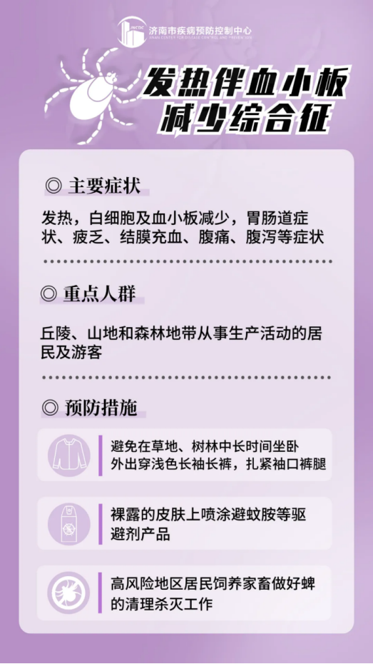 135030mc5tc4jopthip4he.png