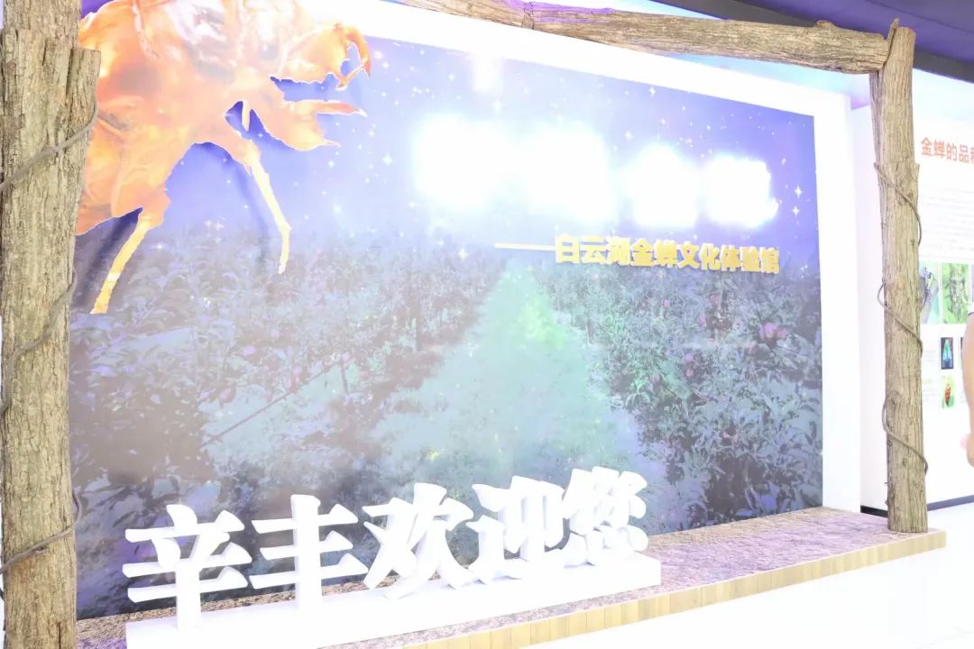 微信图片_20250715103453.jpg