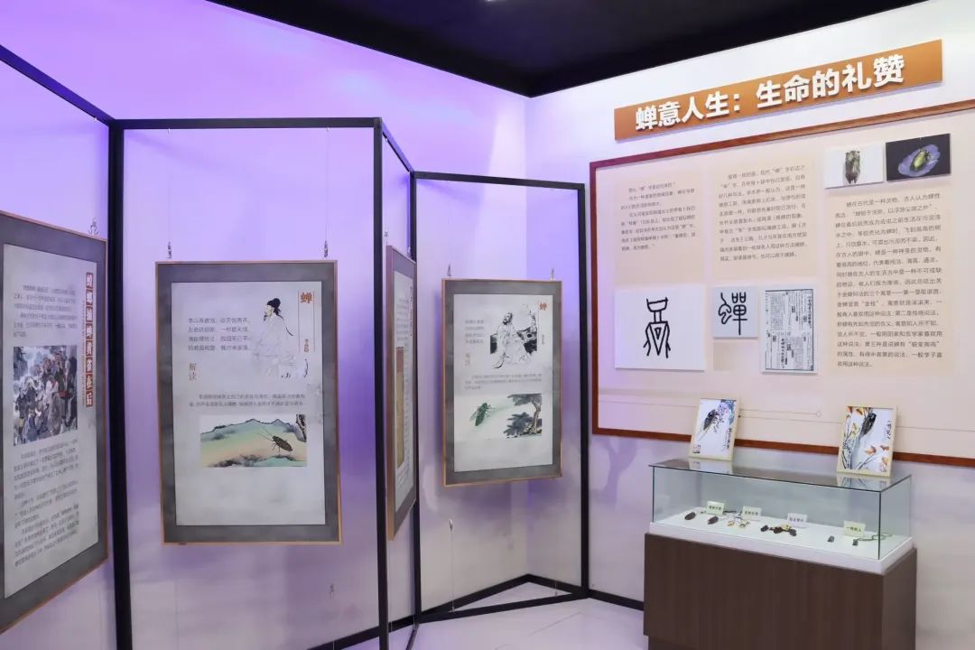 微信图片_20250715103500.jpg