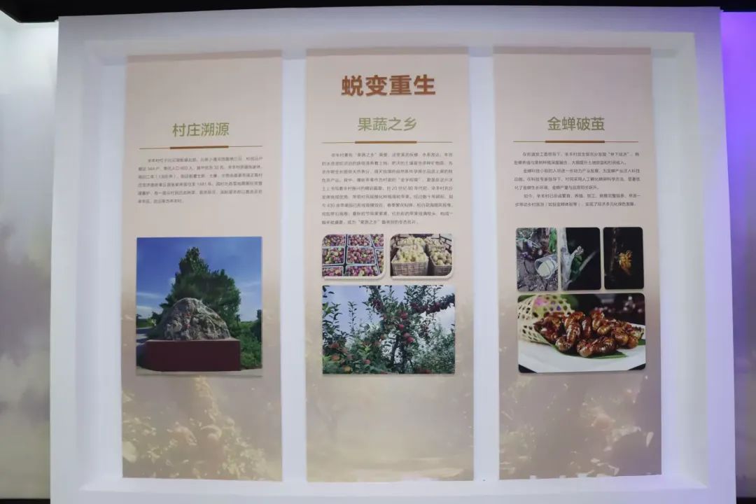 微信图片_20250715103455.jpg