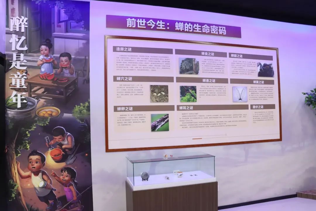 微信图片_20250715103458.jpg
