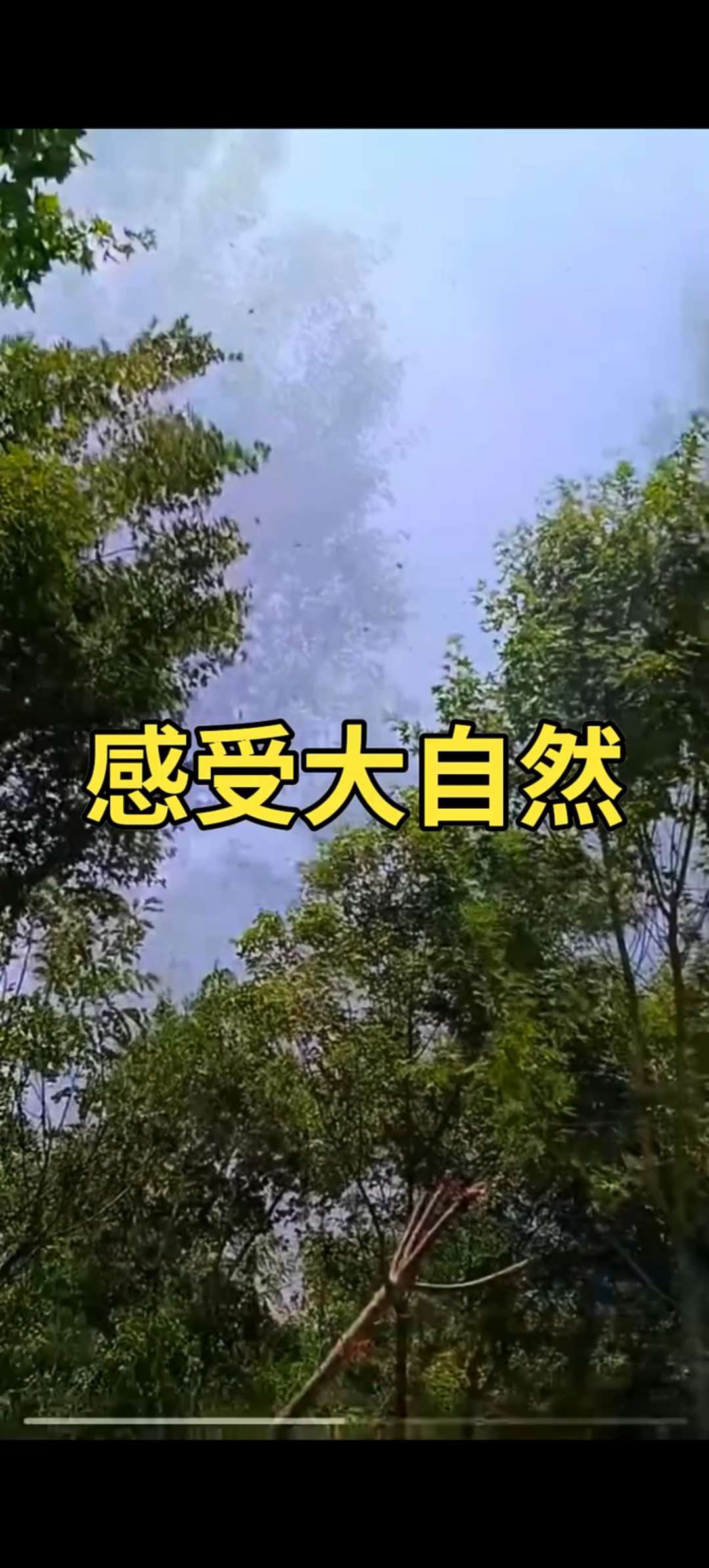 20250718061259front2_0_275925_FqZL3f1pXPB8aarJbCTA9oiJW0Pc.jpg