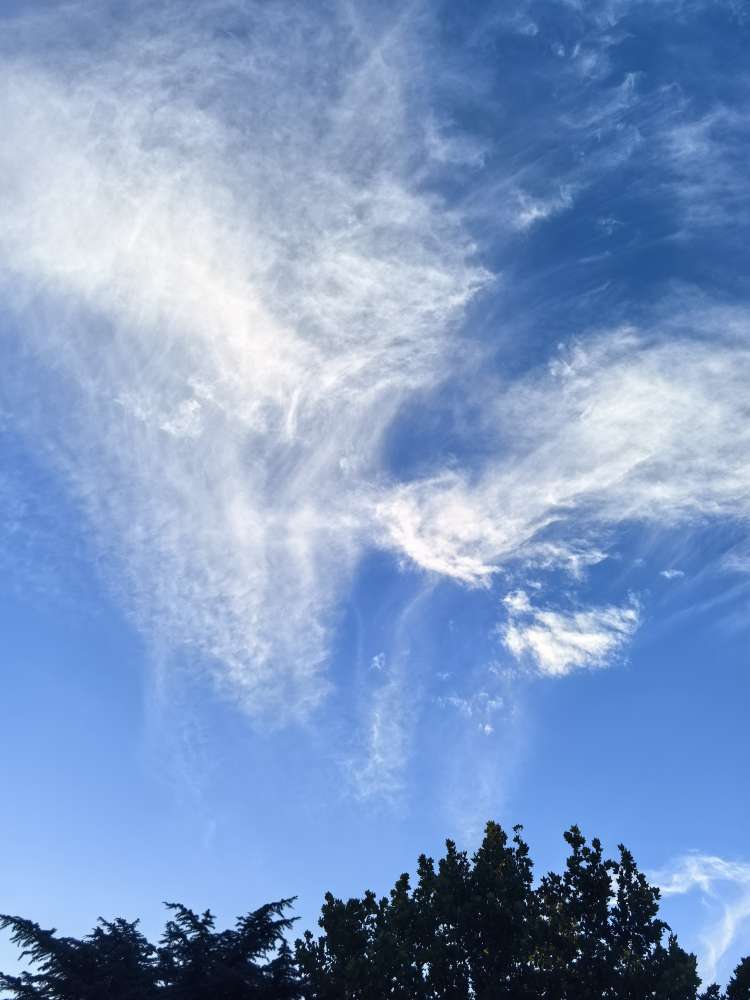 20250719113451front2_0_238529_FjpvL5hRlBu74iumlogxf8YCOkYv.jpg