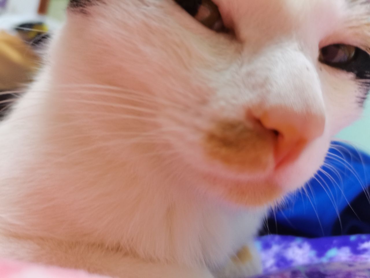 20250720195348front2_0_74807_Fq27jhjeRB1-wRdrD09YoUx_1Zaz.jpg
