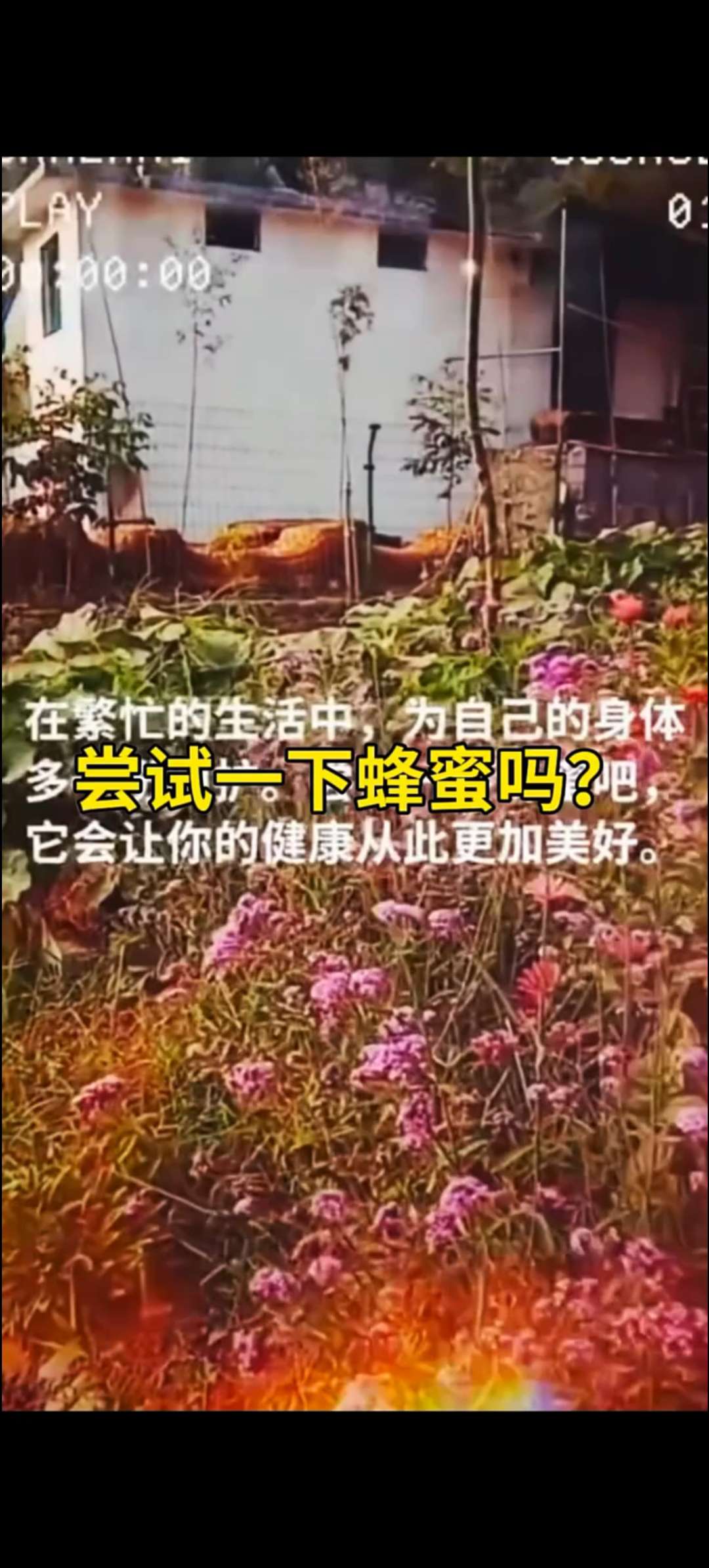 20250722145331front2_0_275925_FkVneNofXS3aWNNusBXX8LmQGpSr.jpg