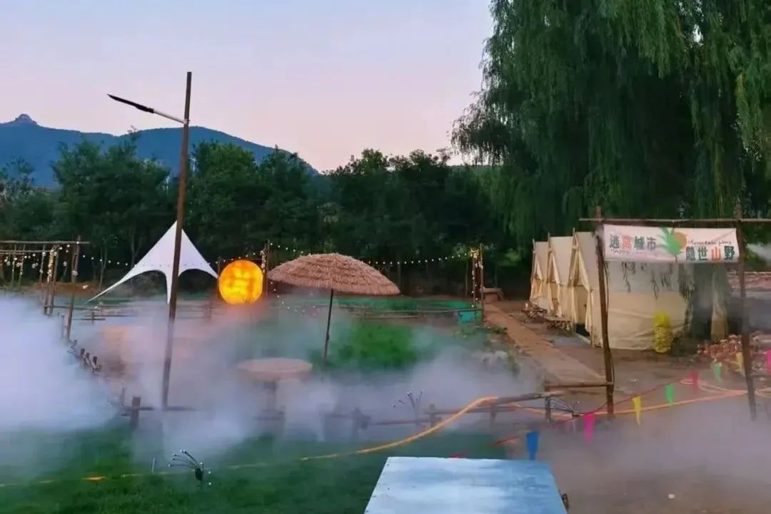 160431pyiu5525zisgjnvg.jpeg