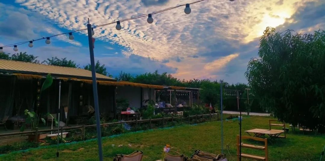 160431swuppaaccuzqb4hl.jpeg