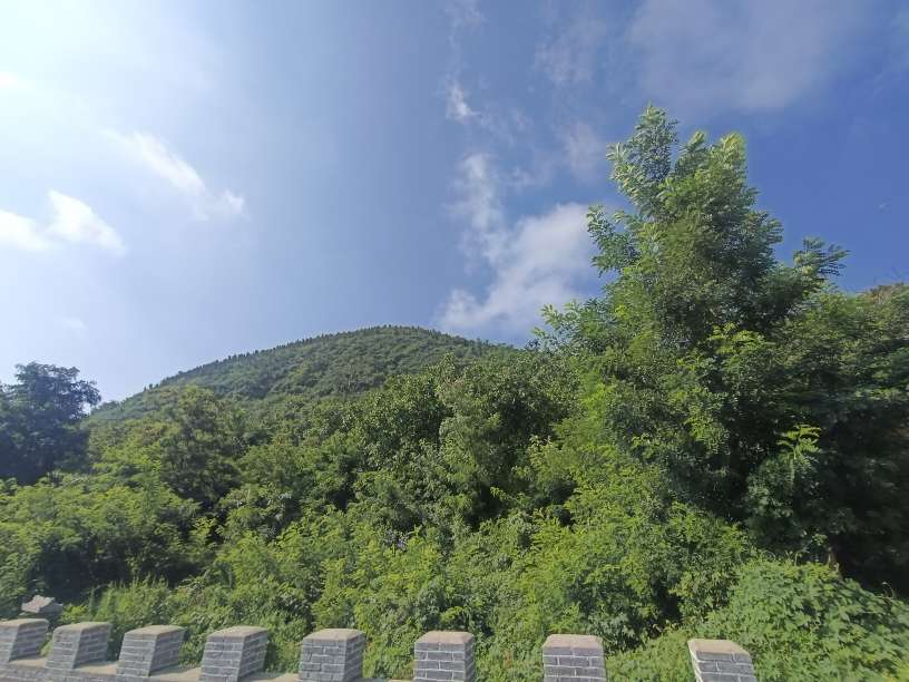 20250729140824front2_0_80211_FrwUd_kUL2lJSU6FK1tNyTMEthru.jpg