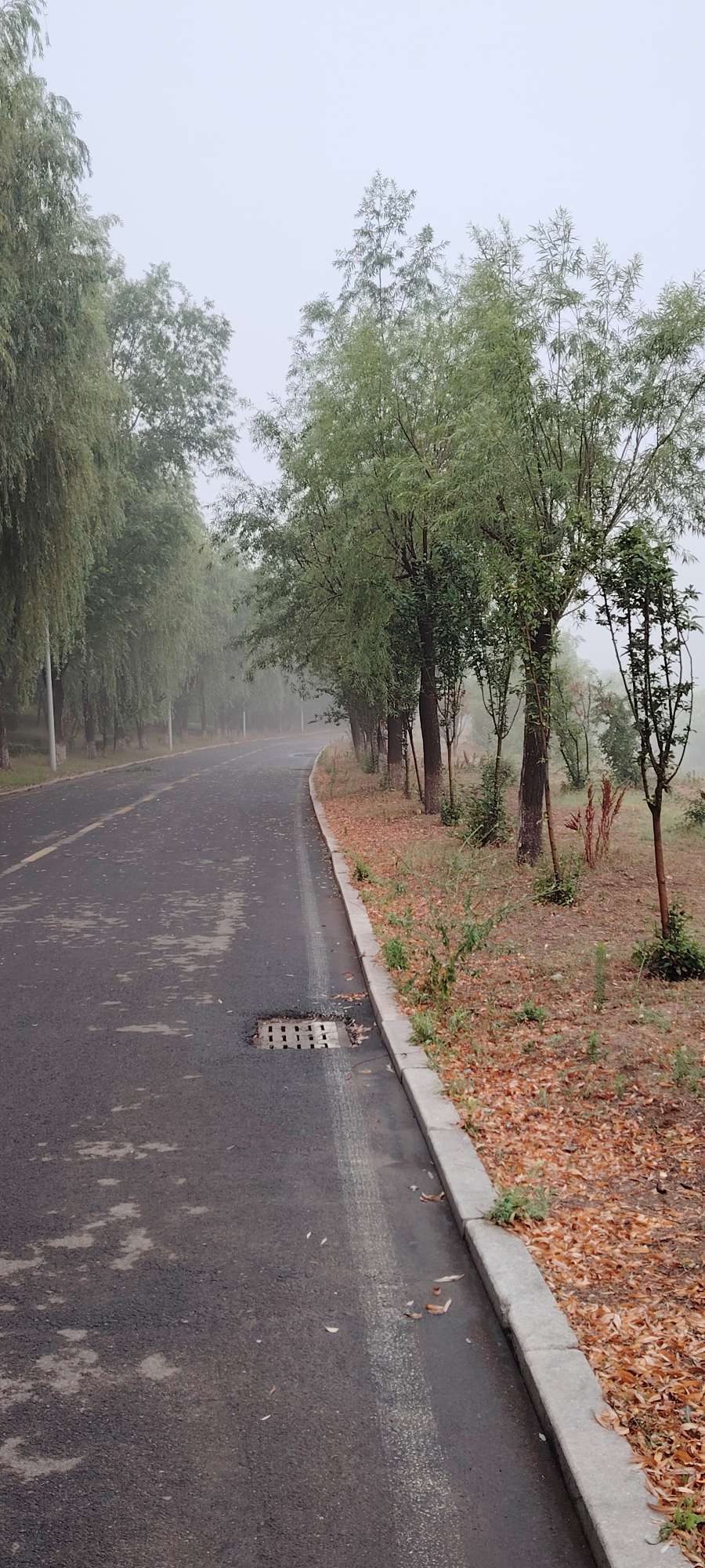 20250801091457front2_0_250092_FqmD6-9w3gxQk7xxPWEusKfn_me0.jpg