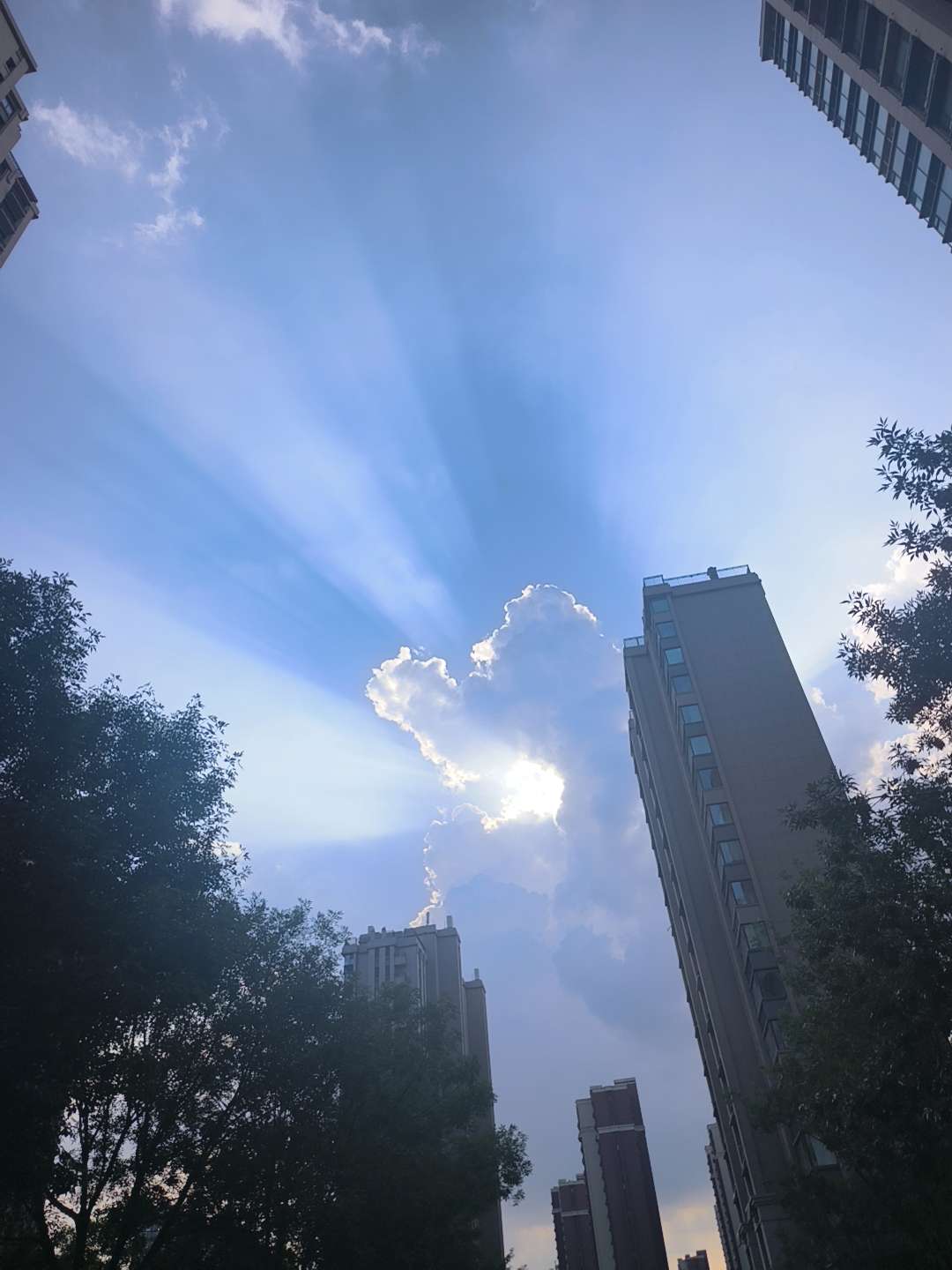 20250802171904front2_0_85744_Fogl0VG4wxDrpx6WoWlC14bFvaF0.jpg