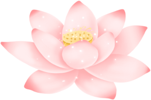 101826n8upn8muudh281f1.png