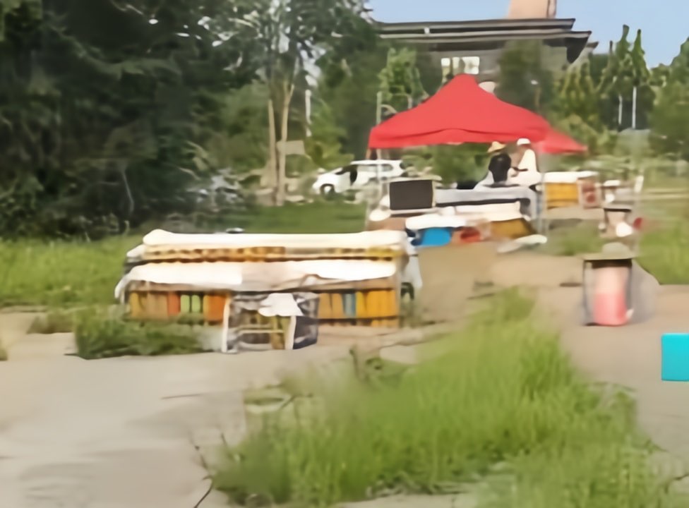 20250804182006front1_0_274320_Fg39k1Mw_6_kQjNELQy3QhaICf1r.jpg
