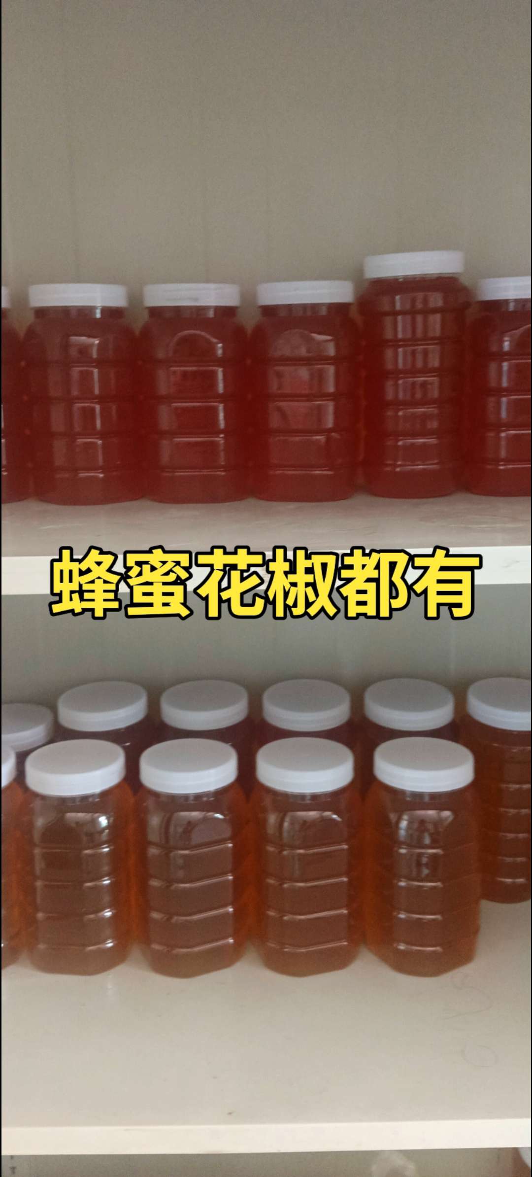20250817231918front2_0_277888_FlpU978rJAz3i_6kJiXa7DaXip7o.jpg