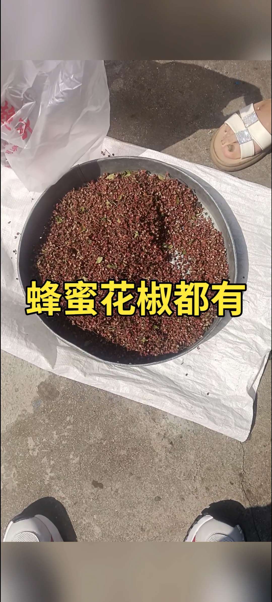 20250817231918front2_0_277888_FmSkr_HdlIF-Mav5kPYITuNe-C8M.jpg