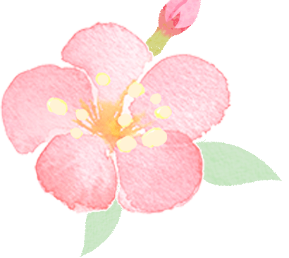 072921o6o637b6jlbv33to.png