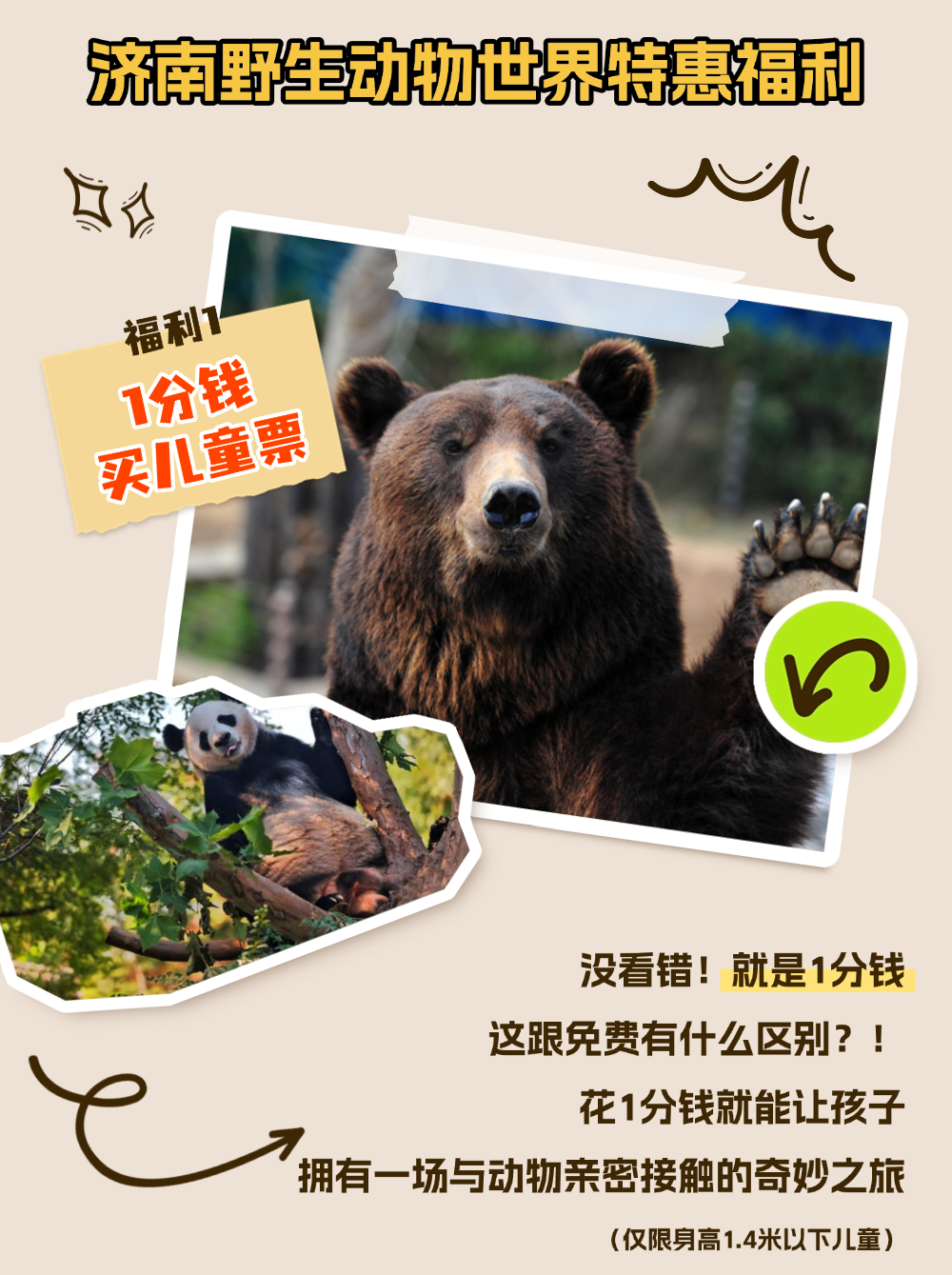 184313u2cpd9iizqliit2t.png