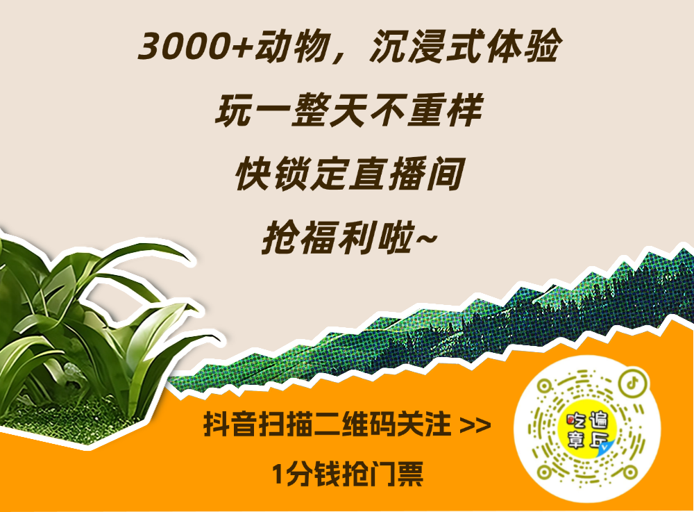 120308chh6itu2t3czx6t5.png