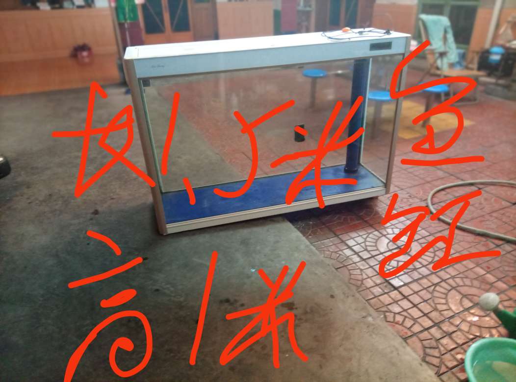 20250820150727front2_0_176515_Fu5_QLbsat5XCbaw3b4nrRbrbnFl.jpg