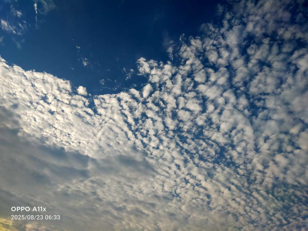 20250823084709front2_0_44241_FhnqXW3aVf8nfsuewvPaEWJ2ysuS.jpg